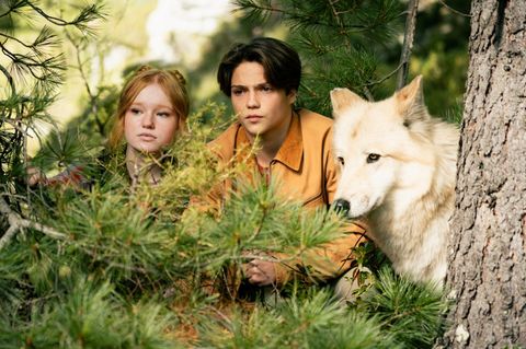 Millionen Kinder lesen diese Bücher: Wer steckt hinter dem Phänomen "Woodwalkers"?